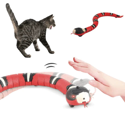 Cobra Inteligente USB - Brinquedo Para Gatos - Lhazza