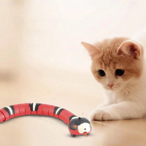 Cobra Inteligente USB - Brinquedo Para Gatos - Lhazza