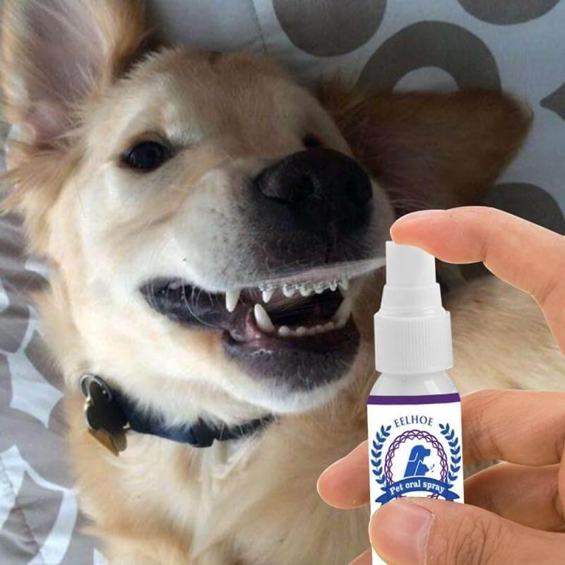Spray Oral Eliminador de Tártaro e Mau Hálito Pet - Lhazza